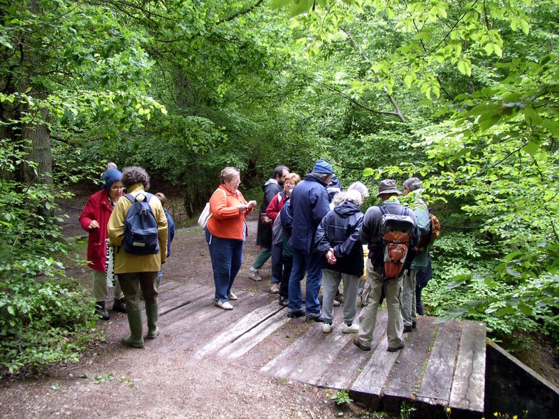 2010 05  Myco avec l' ANY 08